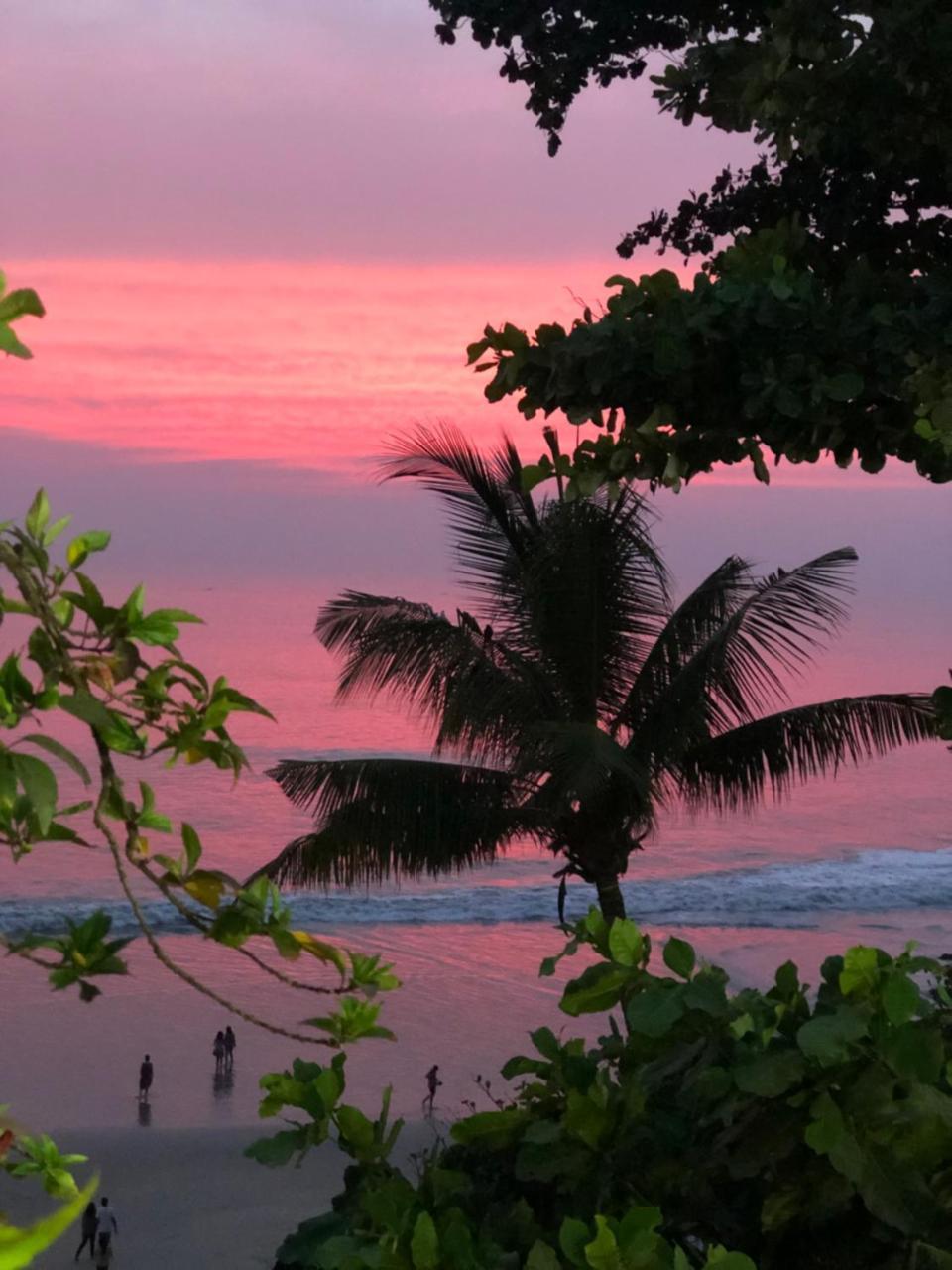 The Villa Varkala Eksteriør billede
